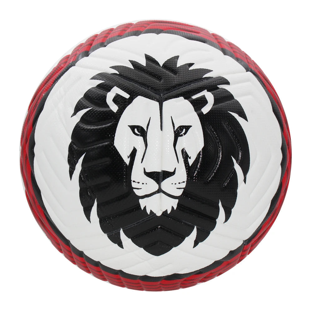 Size 5 Lion Footballs