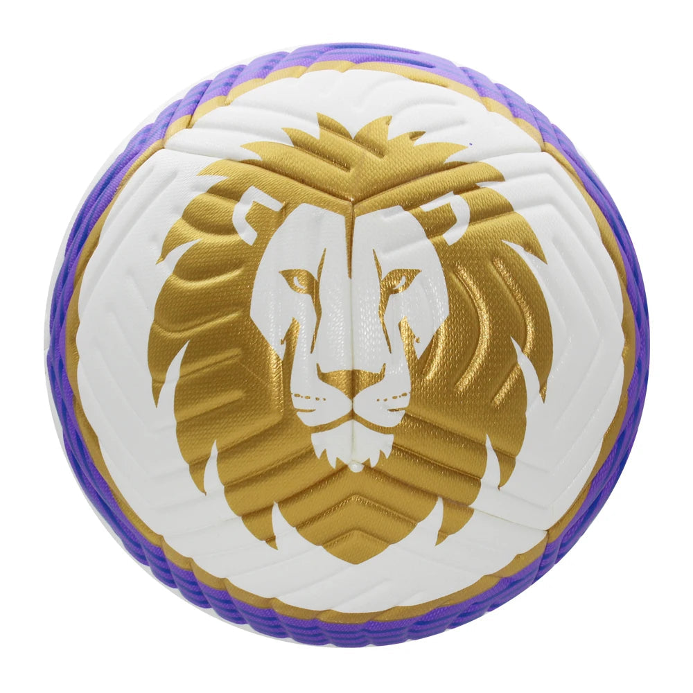Size 5 Lion Footballs