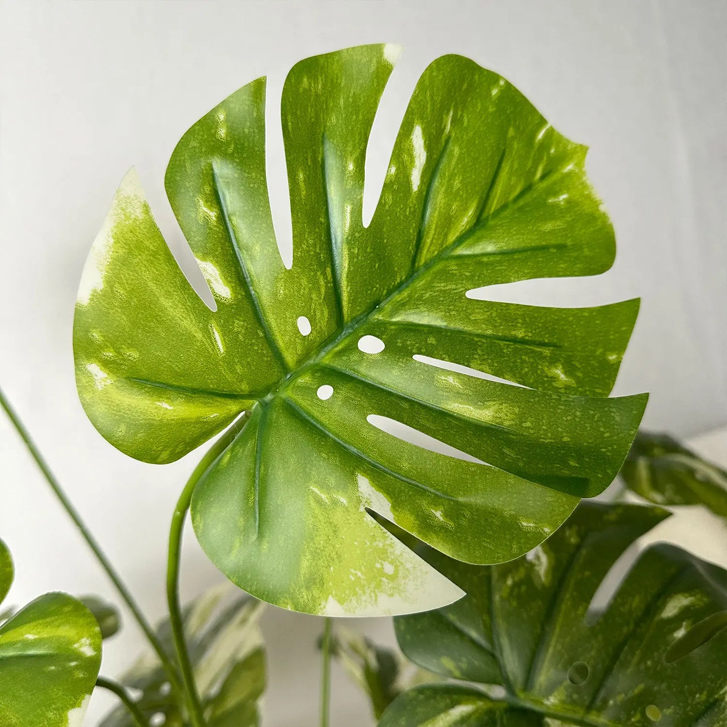 Artificial Monstera Plants and Moss Pots