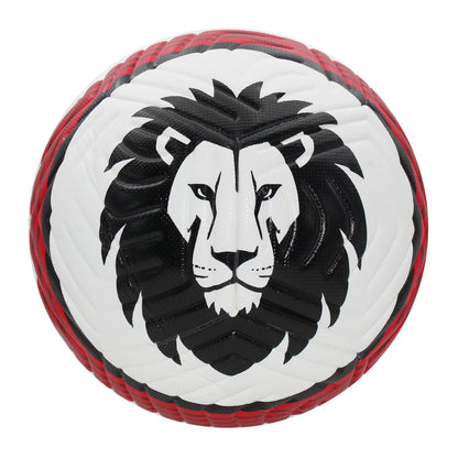 Size 5 Lion Footballs