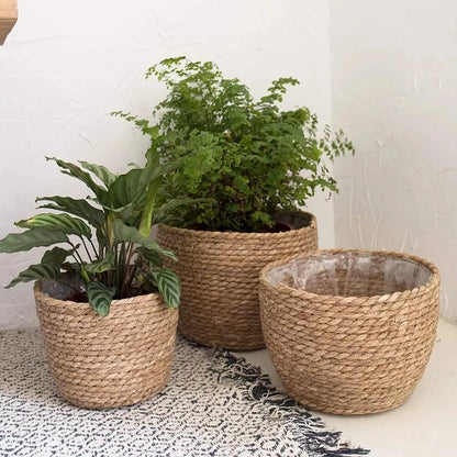 Woven Plant Pot