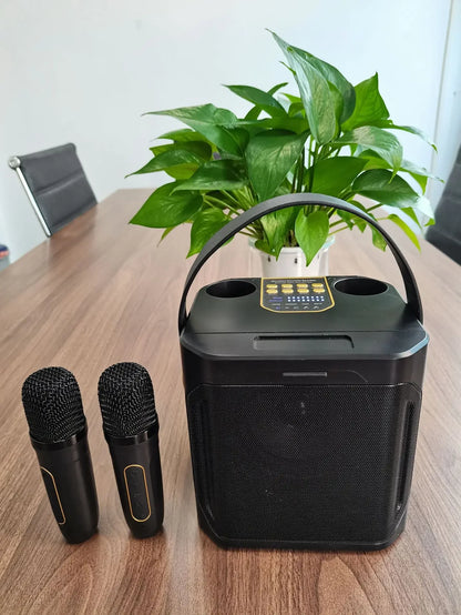 Portable Karaoke Bluetooth Boombox with Microphones