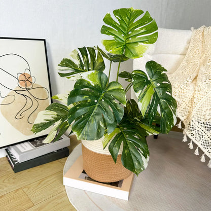 Artificial Monstera Plants and Moss Pots