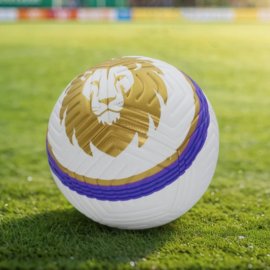 Size 5 Lion Footballs