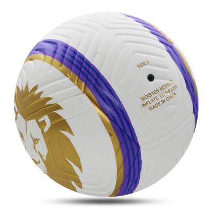 Size 5 Lion Footballs